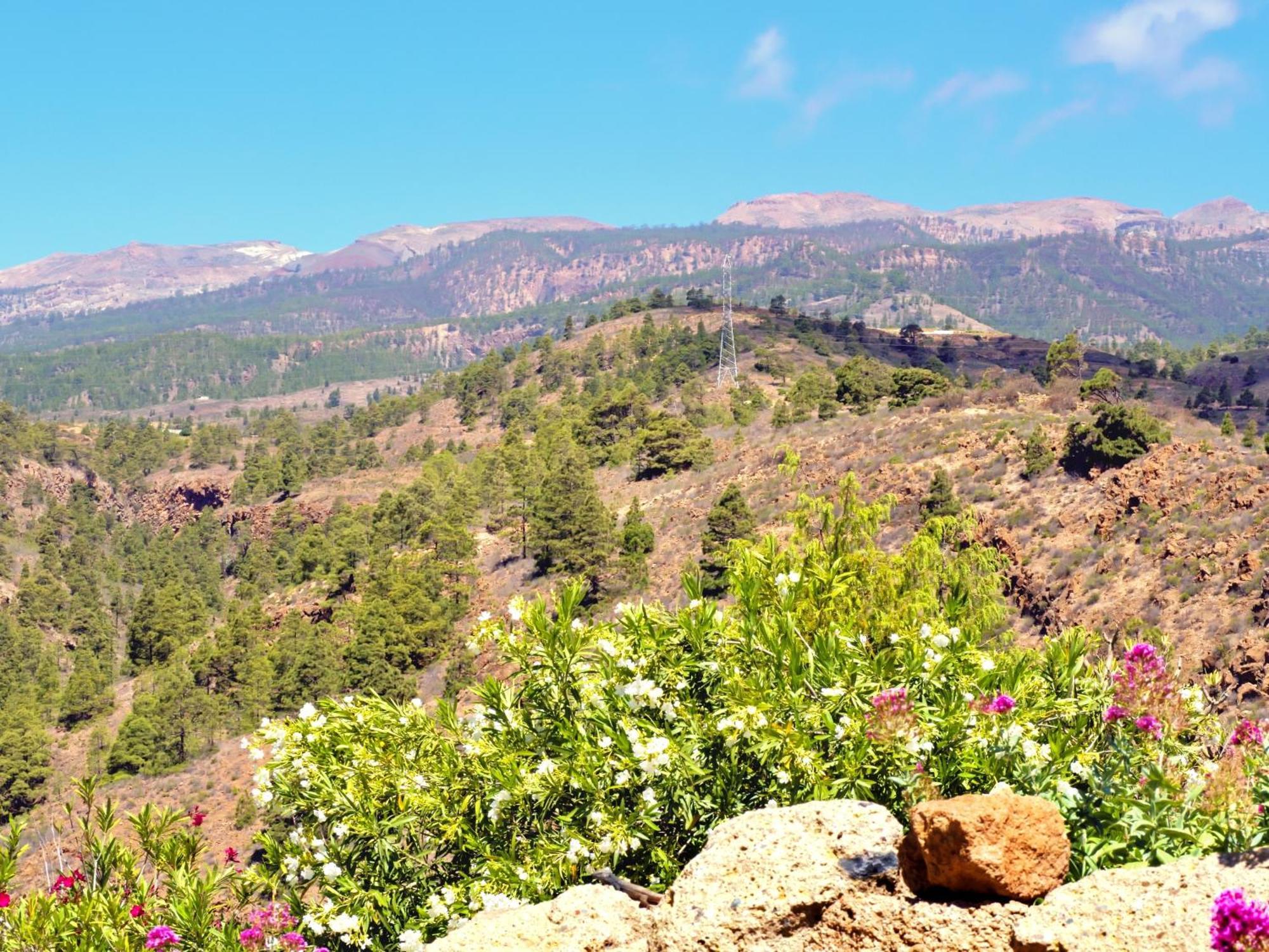-Casa Azul-Arico Viejo La Sabinita - Baden, Wandern, Klettern, Individualurlaub Jenseits Des Massentourismus, Villa Екстериор снимка