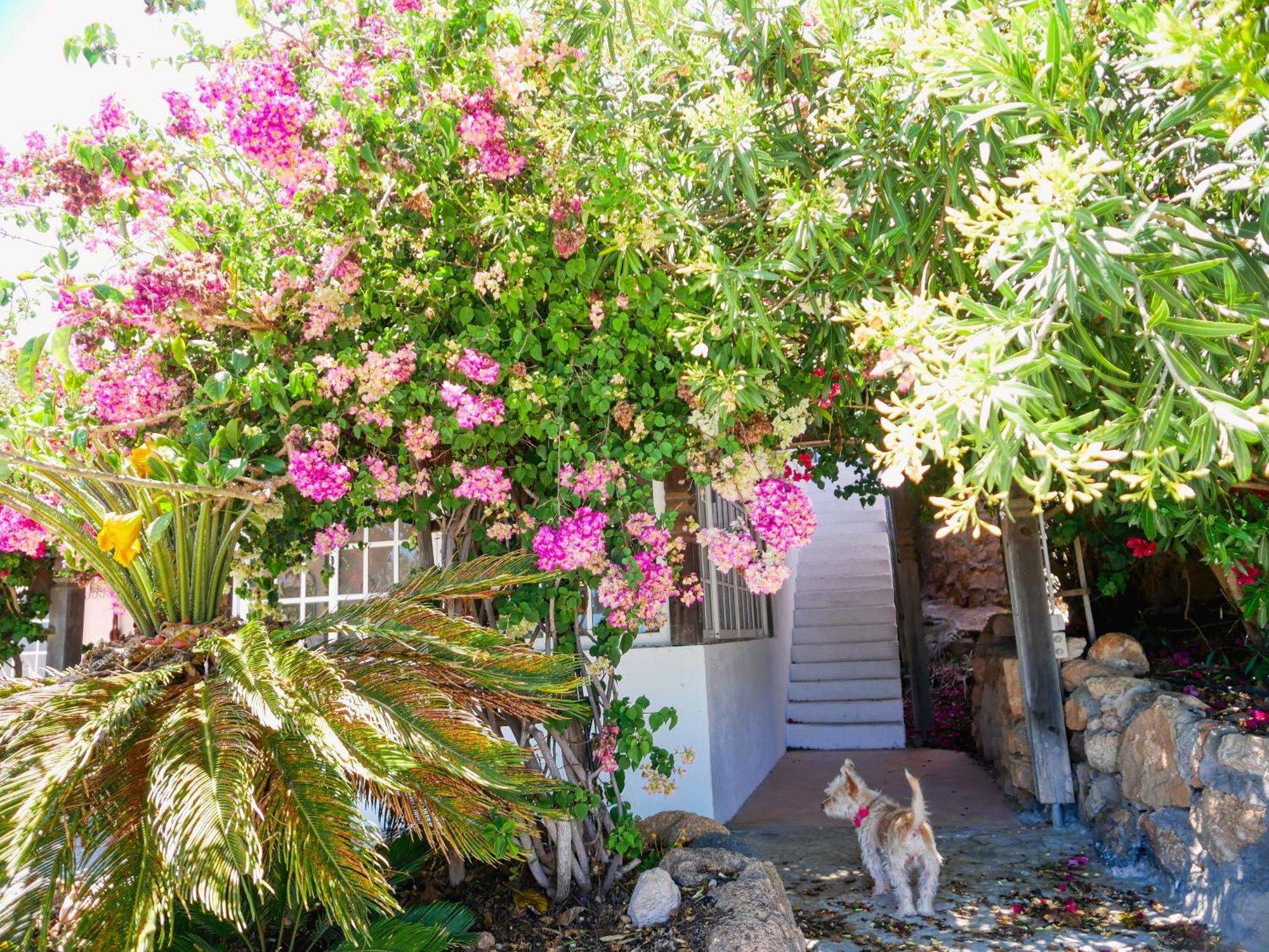 -Casa Azul-Arico Viejo La Sabinita - Baden, Wandern, Klettern, Individualurlaub Jenseits Des Massentourismus, Villa Екстериор снимка