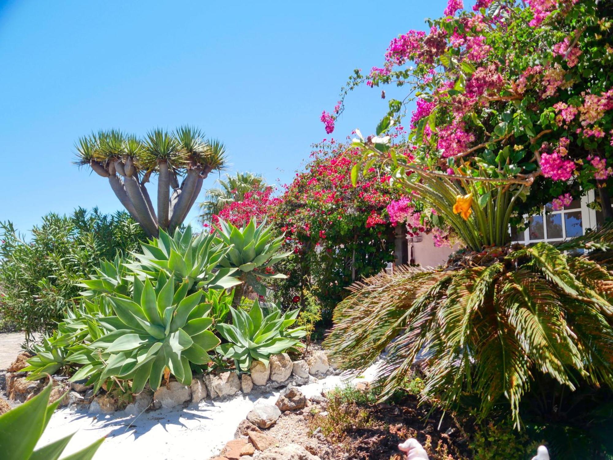 -Casa Azul-Arico Viejo La Sabinita - Baden, Wandern, Klettern, Individualurlaub Jenseits Des Massentourismus, Villa Екстериор снимка